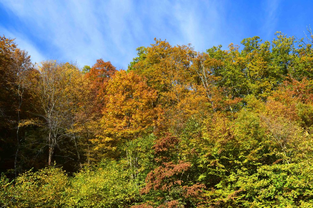 Herbst in Kroatien