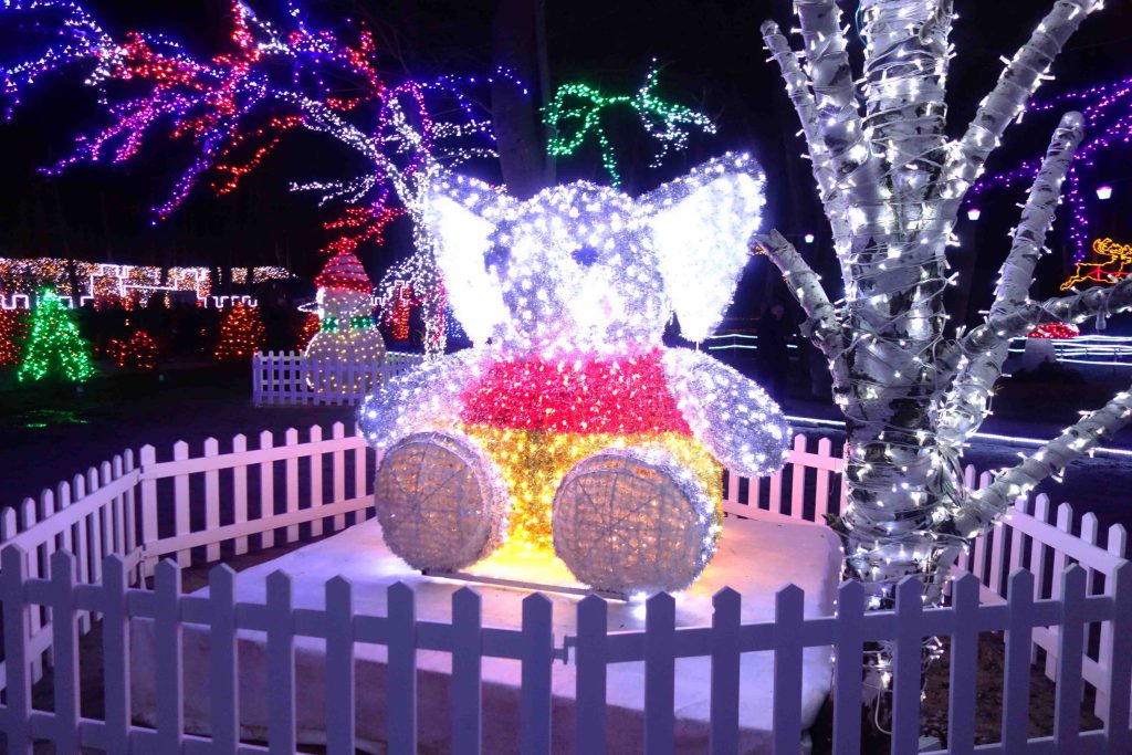 Lichtfigur in Salajland
