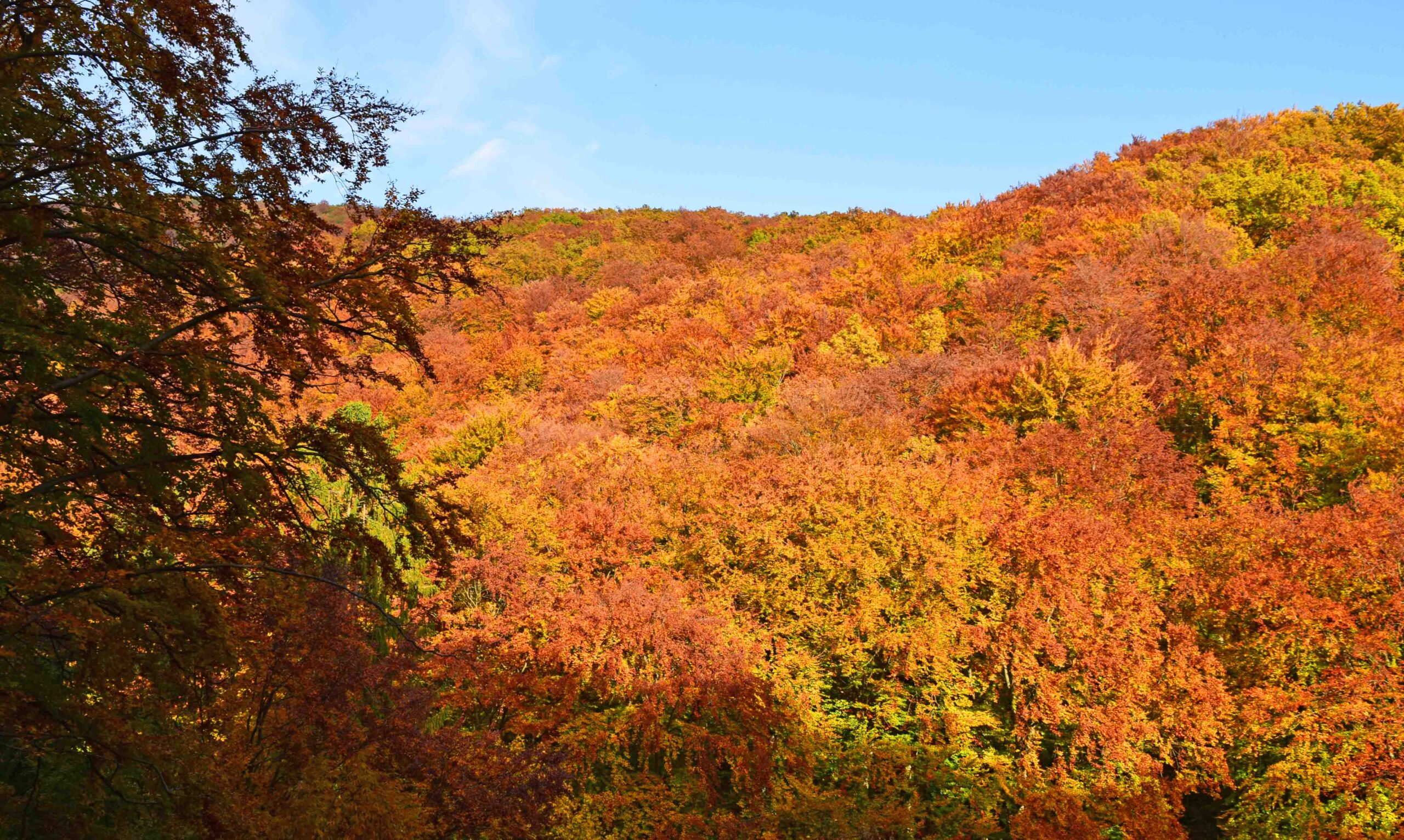 Indian Summer in Medvednica und Sljeme